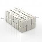 Zoom in - 10 x 10 x 5 mm ( N45 ) 60 stuks