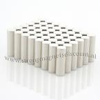 Zoom in - 10 x 30 mm ( N45 ) 48 stuks