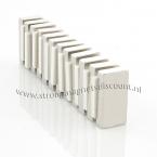 Zoom in - 50 x 25 x 10 mm ( N45 ) 12 stuks